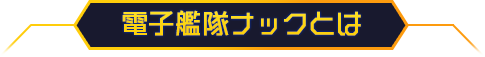 電子艦隊ナックとは